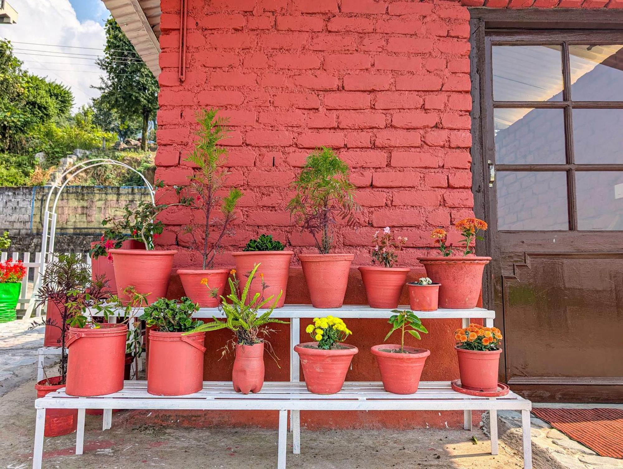 Hobo Hostel Dharamshala Exterior photo