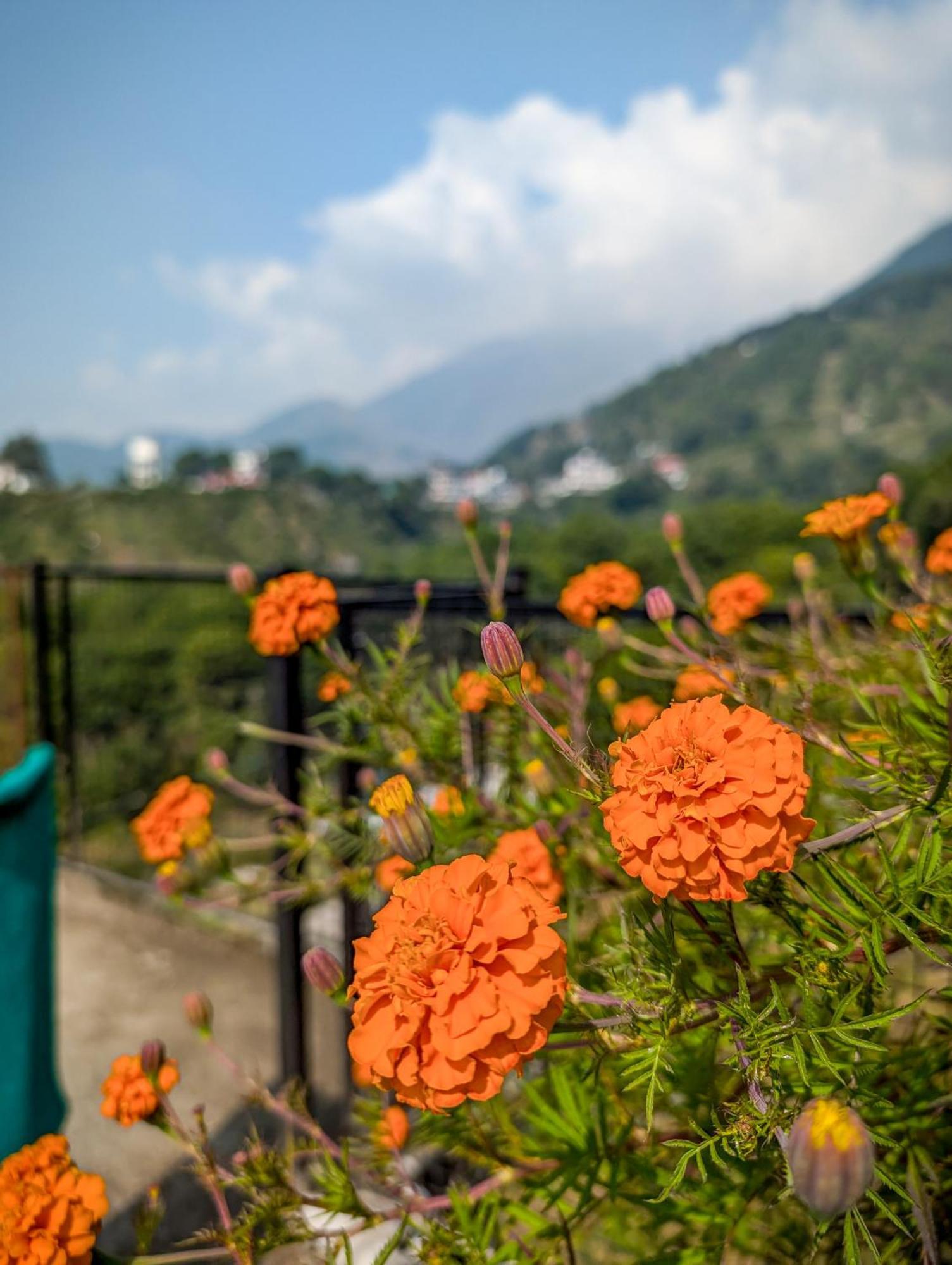 Hobo Hostel Dharamshala Exterior photo